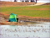 (신당제)바람따라 구름따라 647회 :: 토종붕어를 사랑하는 사람들