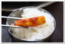 [전국맛집]강원도 대관령 -다복정-(오삼불고기,황태찜) | 네이트 판