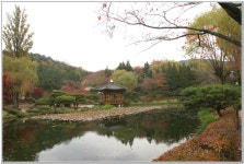 맛집 정보 검색 NO.1 사이트, 메뉴판닷컴 :: 맛집 정보가 가득