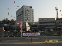 금산군 보기 > 자유게시판 > 열린게시판 > 소통참여 > 대표 대표