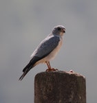 금산군 보기 > 자유게시판 > 열린게시판 > 소통참여 > 대표 대표