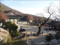 석모도 가볼만한곳 석양이 아름다운 보문사