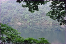 (지촌지)바람따라 구름따라 679회 :: 토종붕어를 사랑하는 사람들