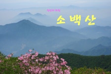 [100명산-17차]천상의 화원-소백산 - 등산 갤러리