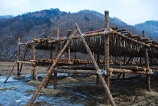 부산명지초등학교51회동기회 | 황태 덕장 - Daum 카페 황태 덕장