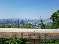 5월 중순 대모산 - 구룡산 5시간 산행 (스압) | 여행 행사 풍경 사진 갤러리 | 루리웹