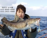 (東)동해조황 - 오늘 대박친 동해대구낚시 단체 가족여행이져