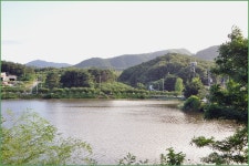 바람따라 구름따라 905회( 대동지) :: 토종붕어를 사랑하는 사람들