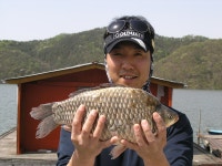 4월 26일 임진년 월척 1호,,2호~~ - 송도좌대 조행기 - 송전지 송도좌대 (송전지낚시터) 4월 26일 임진년 월척 1호,,2호~~