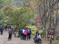 사계절 산악회 11월 주왕산 정기산행 안내 - ♣ 산행안내 및 신청방 ♣ - 진주사계절산악회 사계절 산악회 11월 주왕산 정기산행 안내