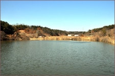 (연하곡지)바람따라 구름따라 566회 :: 토종붕어를 사랑하는 사람들