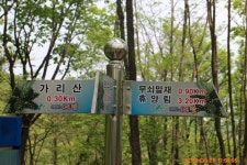 제95회 논고산악회 산행일지(강원도 홍천 가리산 / 13.05.25)... 논고산악회 제95회 논고산악회 산행일지(강원도 홍천 가리산 / 13.05.25)