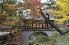 해든산악회 | 2월21일(일요일) 조계산(전남/순천) 호남의 名山..(100대 명산) - Daum 카페 2월21일(일요일) 조계산(전남/순천) 호남의 名山..... 