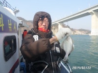 (南)남해조황 - 왕도다리 회맛손맛에뽕~갑니다~~(예약가능)