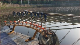 ( 내문수지 )바람따라 구름따라 810회 :: 토종붕어를 사랑하는 사람들