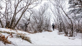 여행기 - 덕유산 종주(2) 남덕유 상고대