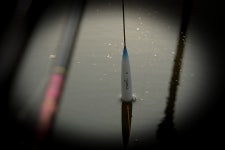 강원도원주에서...섬강줄기 :: 토종붕어를 사랑하는 사람들