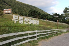 부산테마여행사