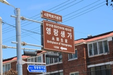 부산테마여행사