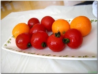 [기장] 꽃이 피었습니다~ 성활횟집, 다해초장 > 네티즌 추천맛집