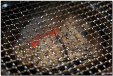 [재송동] 소고기하면 생각나는 집~ 형제식육식당 > 네티즌 추천맛집