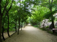 [전북] 호남의 소금강을 거닐다 ~ 순창 강천산 (강천산계곡, 구름다리, 강천사, 구장군폭포) - 미륵리석불의 답사기 - 문화사랑 오솔길 [전북] 호남의... 