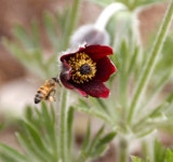 20번째 결혼기념일에 다시보는 성철스님의 주례사. - ━─‥좋은글♡감동글 - 평택시 명품 슈퍼오닝 ↔ 농·특산물 통합브랜드 20번째... 