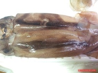치킨 무를 활용한 꼬맹이들 입맛에 맞춘 충무김밥..아빠의 요리.. - 10만개의 레시피, 메뉴판키친 요리판