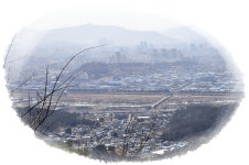 비산동은 대구 최고 막장동네까진 아니지... - 도시 갤러리