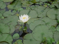 맛집 정보 검색 NO.1 사이트, 메뉴판닷컴 :: 맛집 정보가 가득