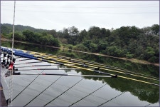 ( 안동권 )바람따라 구름따라 770회 :: 토종붕어를 사랑하는 사람들