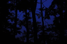 산행기 - 수락산으로