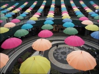 박칼린 뮤지컬 미스터쇼 올해 벌써 두번째 관람 넘 밝히나 큭