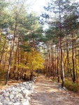 노추산 산행 하산 예정 지점. - 정기 산행 안내 - 동해 산마루 산악회 동해  산마루 산악회