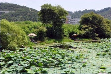 ( 대제곡지 )바람따라 구름따라 759회 :: 토종붕어를 사랑하는 사람들
