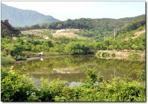 (사곡지)바람따라 구름따라 586회 :: 토종붕어를 사랑하는 사람들