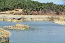 바람따라 구름따라 965회( 신하수로 ) :: 토종붕어를 사랑하는 사람들