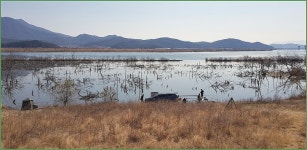 바람따라 구름따라 967회( 선산수로 ) :: 토종붕어를 사랑하는 사람들