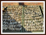 홍보마당 | 춘천시청