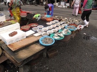 부산 자갈치와 영도다리를 걸어보다.........