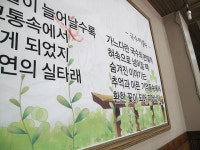 깔끔함과 푸짐함이 좋았던 잔치국수집  부송국수 .........   > 네티즌 추천맛집