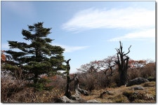 10월산행 안내 전라북도 무주군 설천면 삼공리 덕유산(1614m) - ‥― 정기산행 공지/신청 - 용인 산악회 10월산행 안내 전라북도 무주군... 