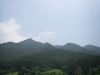 산행기 - 좌이산(와룡산의 왼쪽 귀부분이라고 해서 불리우진 이름)