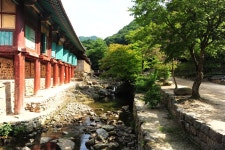 3대사찰 하나인 조계산 송광사 - ―····포토ノ풍경이미지 - 좋은 글과 좋은 음악이 있는 곳 3대사찰 하나인 조계산 송광사