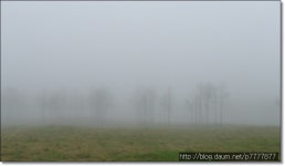 맛집 정보 검색 NO.1 사이트, 메뉴판닷컴 :: 맛집 정보가 가득