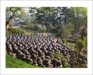 5670 아름다운 동행 | 논산 견훤왕릉 등 유적지 방문 후기 사진 - Daum 카페 논산 견훤왕릉 등 유적지 방문 후기 사진