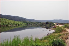 (낙동 수로 )바람따라 구름따라 825회 :: 토종붕어를 사랑하는 사람들
