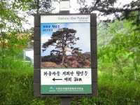 제191차(07/13) 지리산뱀사골신선길+와운마을천년송길 안내 - 제191차(07/13) 지리산뱀사골신선길+와운마을천년송 - 신나라 트레킹 제191차... 