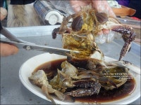 스끼다시 무한리필로 푸짐한 석모도 맛집 서해안회타운