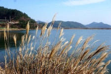 진도 봉암지와 세방낙조를 다녀와서... :: 토종붕어를 사랑하는 사람들